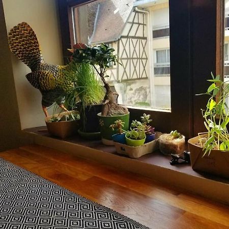 Cosy Apartment By The Magical Marais De Bourges Buitenkant foto