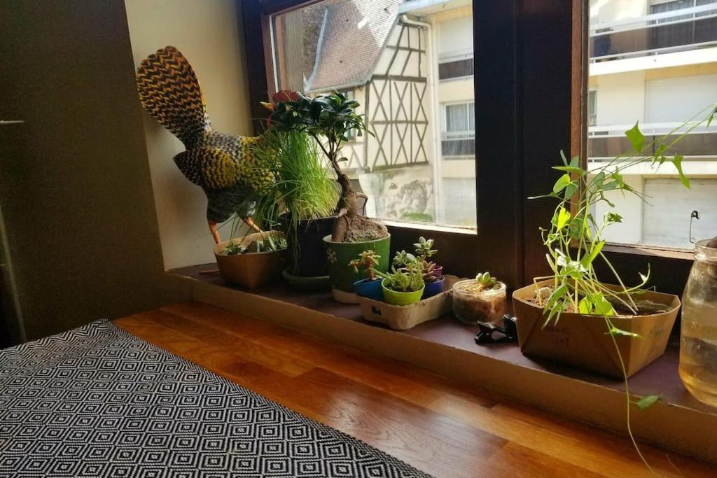 Cosy Apartment By The Magical Marais De Bourges Buitenkant foto